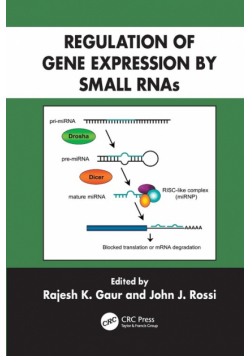 Regulation of Gene Expression by Small RNAs