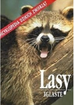 Lasy Iglaste