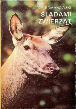 Śladami zwierząt