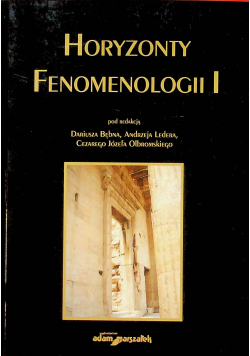 Horyzonty fenomenologii I