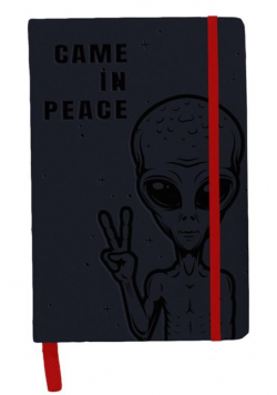 Notes z gumką A5 BeUniq UFO PPUF20-3653 PASO
