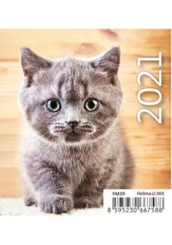 Kalendarz 2021 biurkowy mini Kotki HELMA