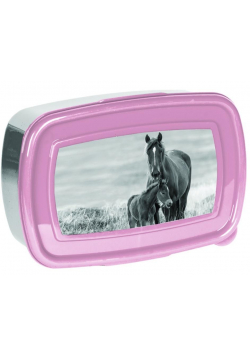 Śniadaniówka Horses PP20KO-3022 PASO