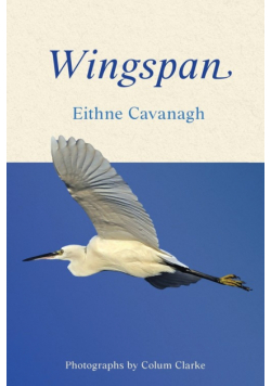 Wingspan