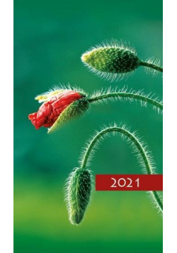 Kalendarz 2021 Tygodniowy Kolorowy mak