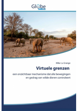 Virtuele grenzen