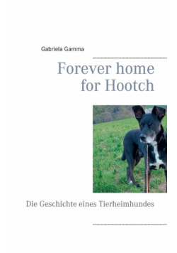 Forever home for Hootch