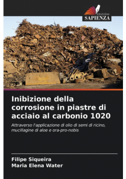 Inibizione della corrosione in piastre di acciaio al carbonio 1020