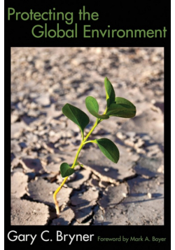 Protecting the Global Environment