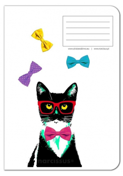 Zeszyt A4/60K kratka PP Fun Cat (4szt) NARCISSUS