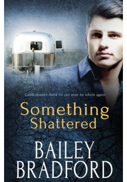 Something Shattered