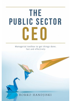The Public Sector CEO