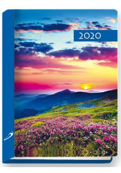 Terminarz 2020 B7 Kolorowy łąka