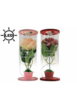 Róża w tubie LED MIX