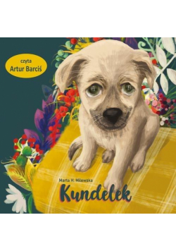 CD MP3 Kundelek