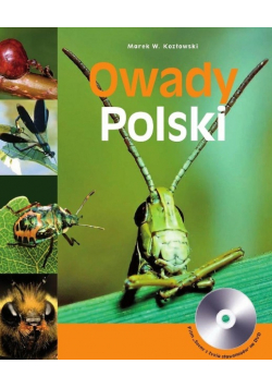Owady Polski