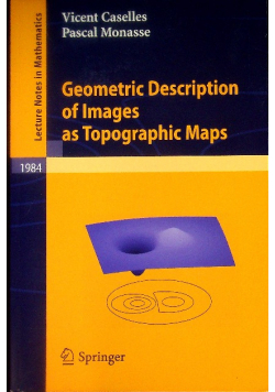 Geometric Description of Images as Topographic Maps