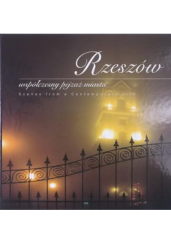 Rzeszów współczesny pejzaż miasta