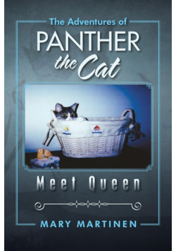 The Adventures of Panther the Cat
