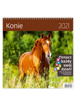 Kalendarz 2021 30x30 Konie HELMA