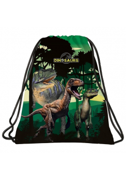 Worek na obuwie Dinozaur 15 DERFORM