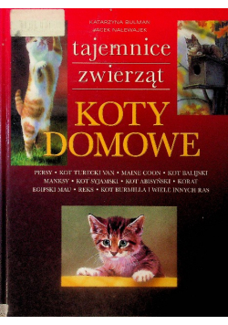 Koty domowe