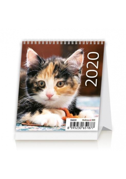Kalendarz 2020 Biurkowy Mini Kotki HELMA