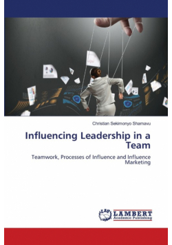 Influencing Leadership in a Team