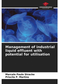 Management of industrial liquid effluent with potential for utilisation