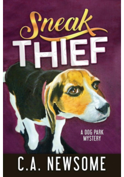 Sneak Thief