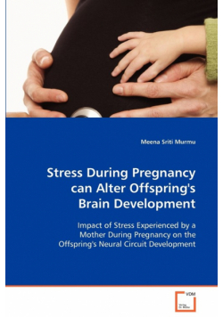 Stress During Pregnancy can Alter Offspring's Brain Development
