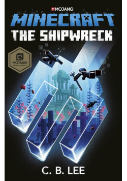 Minecraft The Shipwreck
