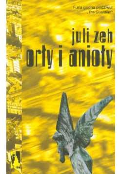 Orły i anioły