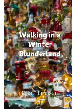 Walking in a Winter Blunderland