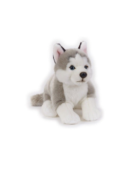Husky Maskotka