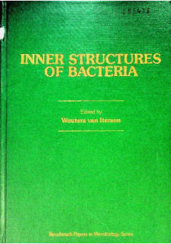 Inner structures of bacteria