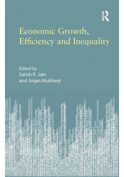 Economic Growth, Efficiency and Inequality