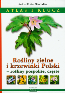Rośliny zielne i krzewinki Polski, rośliny pospolite, częste: Atlas i klucz