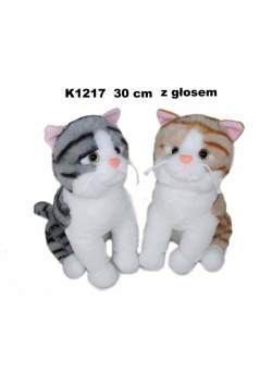 Kot z głosem 30cm MIX