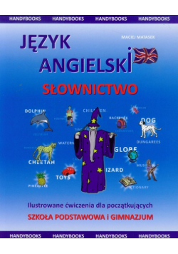 Język angielski słownictwo. Ilustrowane ćwiczenia dla początkujących