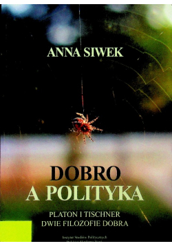 Dobro a polityka