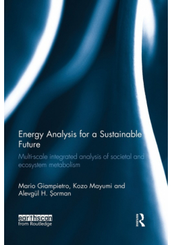 Energy Analysis for a Sustainable Future