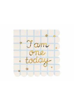 Serwetki papierowe I am one today 33x33cm