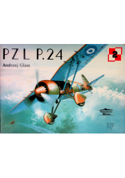 Glass pzl P. 24