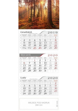 Kalendarz 2020 Trójdzielny W lesie CRUX