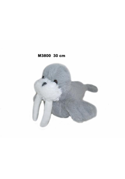 Mors 30cm MIX
