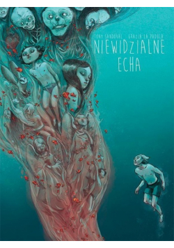 Niewidzialne echa