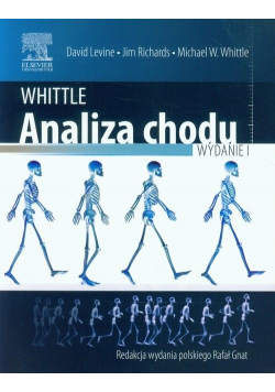 Analiza chodu nowa