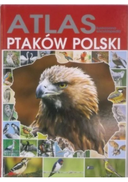 Atlas Ilustrowana encyklopedia ptaków Polski