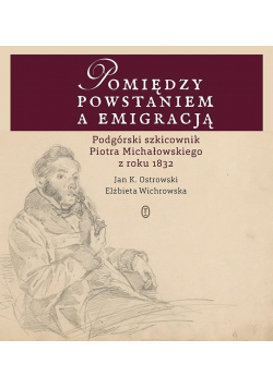 Pomiędzy powstaniem a emigracją